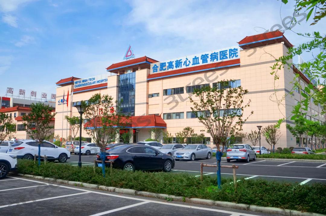 image037.jpg image037.jpg